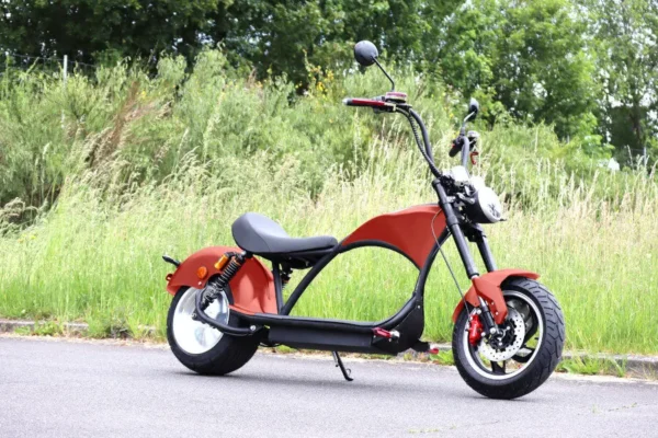 Elektro Scooter Coco Bike E-Chopper mit Straßenzulassung bis zu 48 km/h schnell - ca. 50 km Reichweite 60V | 2000W | 20AH Akku -CP4 Plus – Bild 22