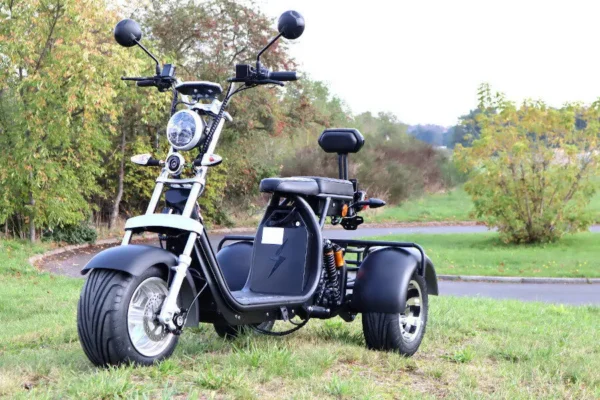 Coco Bike E-Scooter mit Straßenzulassung und drei Räder Trike ca. 35km Reichweite 60V | 2000W | 20AH Akku – Bild 9