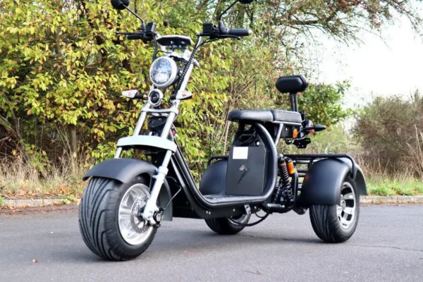 Coco Bike E-Scooter mit Straßenzulassung und drei Räder Trike ca. 35km Reichweite 60V | 2000W | 20AH Akku – Bild 21