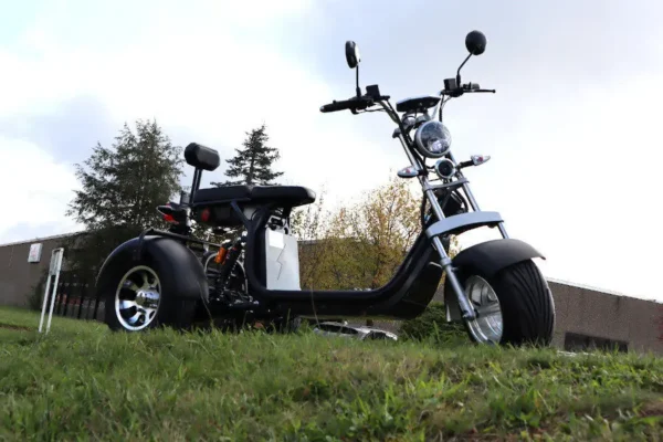 Coco Bike E-Scooter mit Straßenzulassung und drei Räder Trike ca. 35km Reichweite 60V | 2000W | 20AH Akku – Bild 19